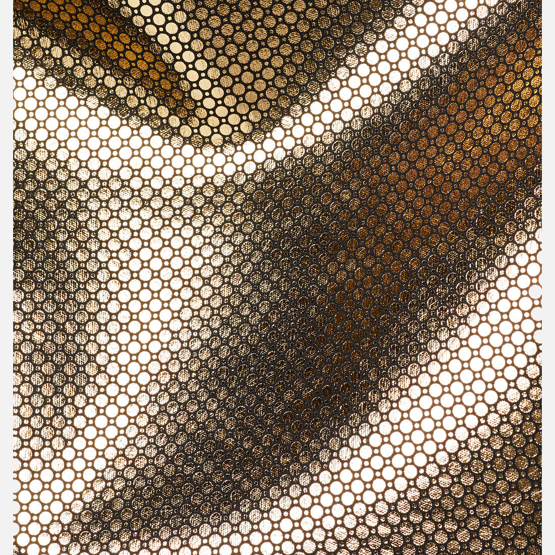 Canyon Meadows Softshell