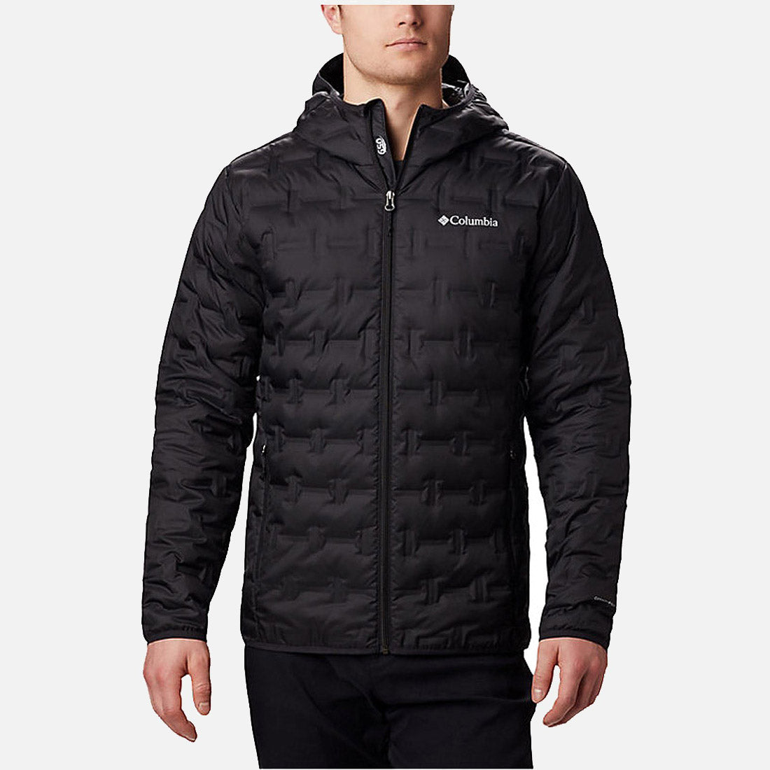 Delta Ridge II Down Hooded