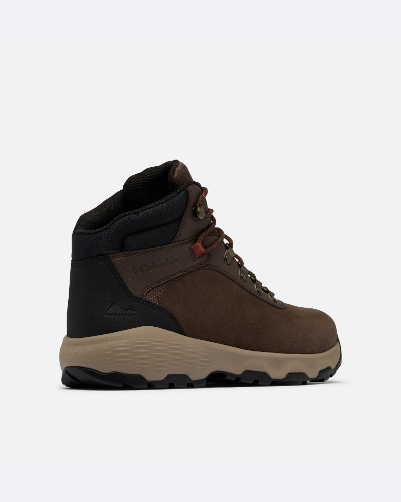 Newton Wander M