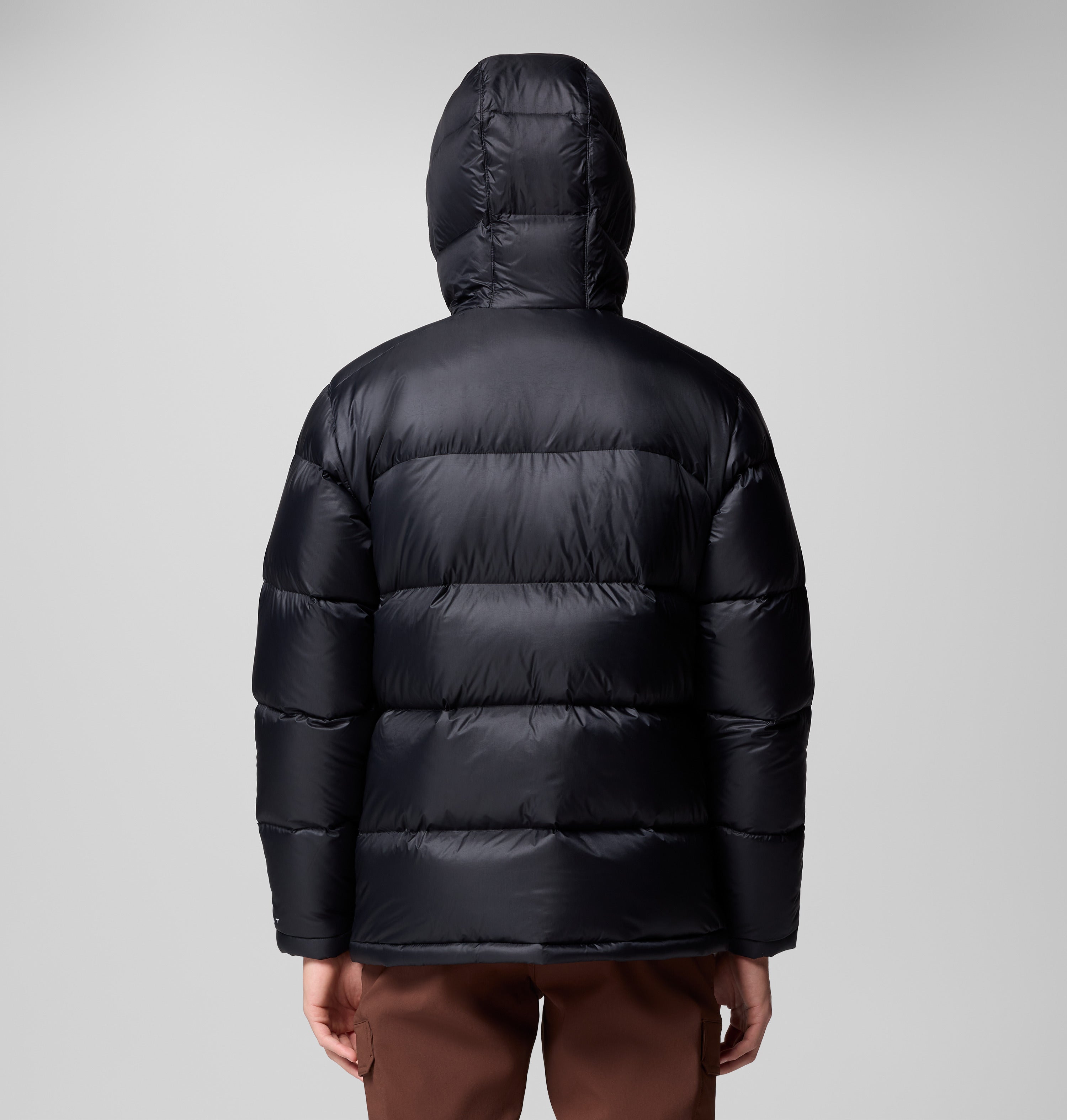 Cloudview Down Hooded Jacket