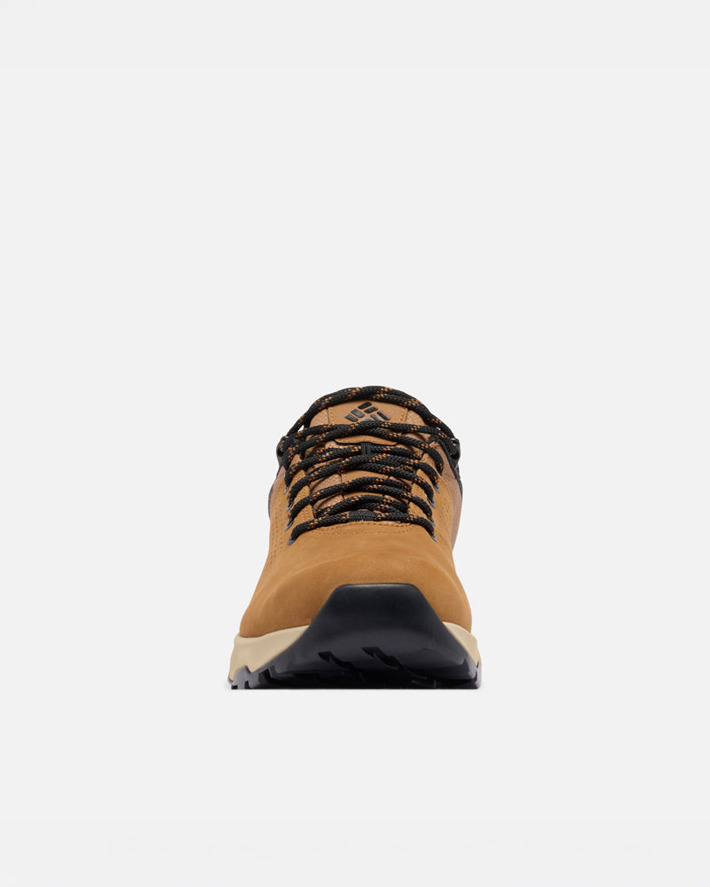 Newton Nimble Ltr