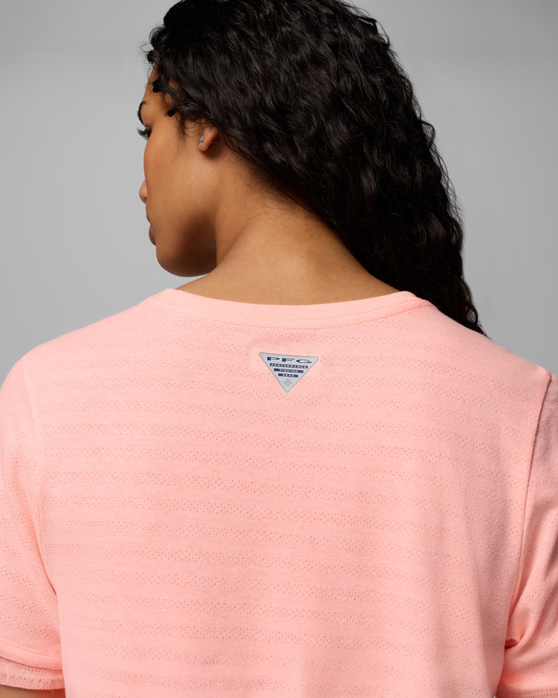 PFG Freezer S/S T