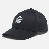 Baxter Falls Dad Cap
