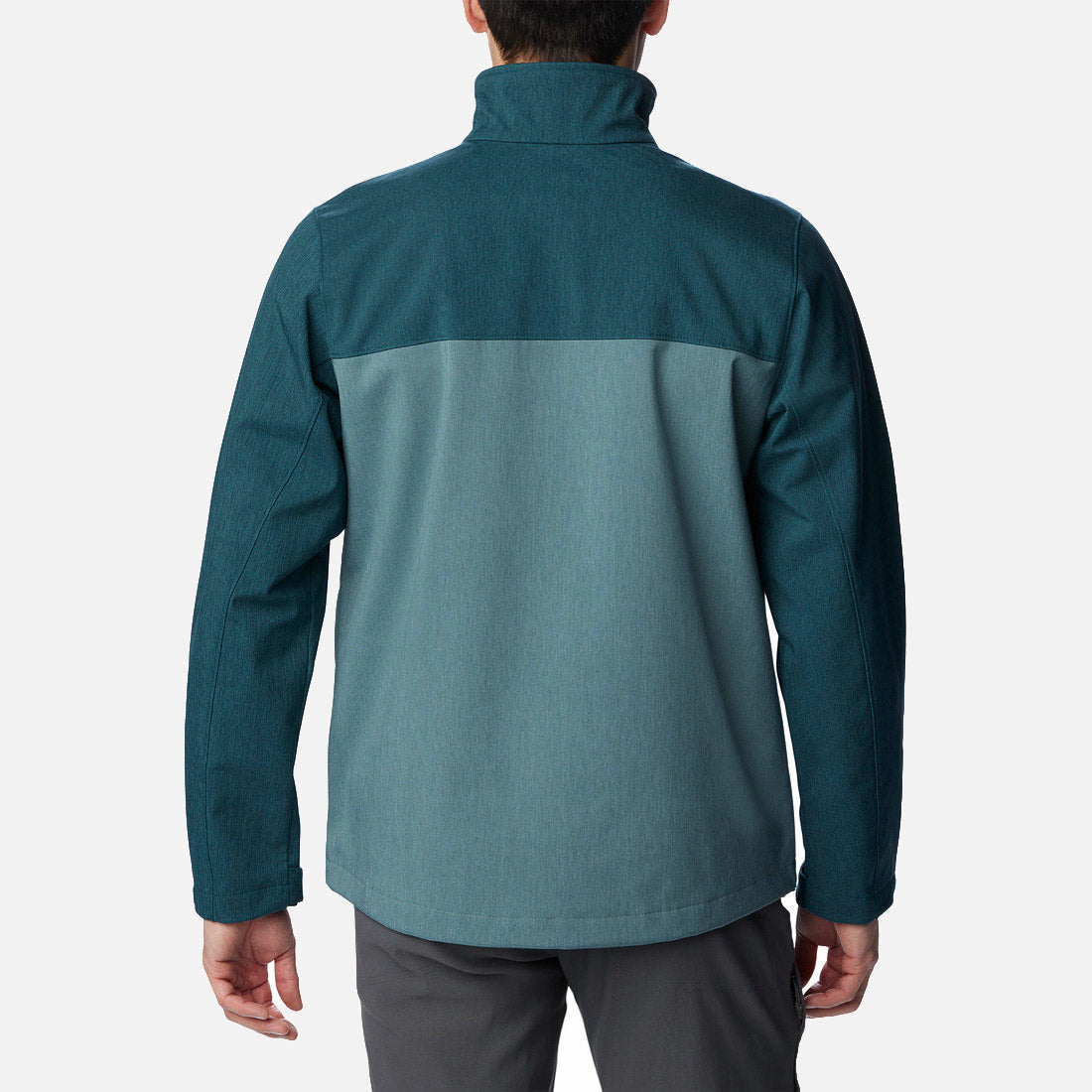 Cruiser Valley Softshell
