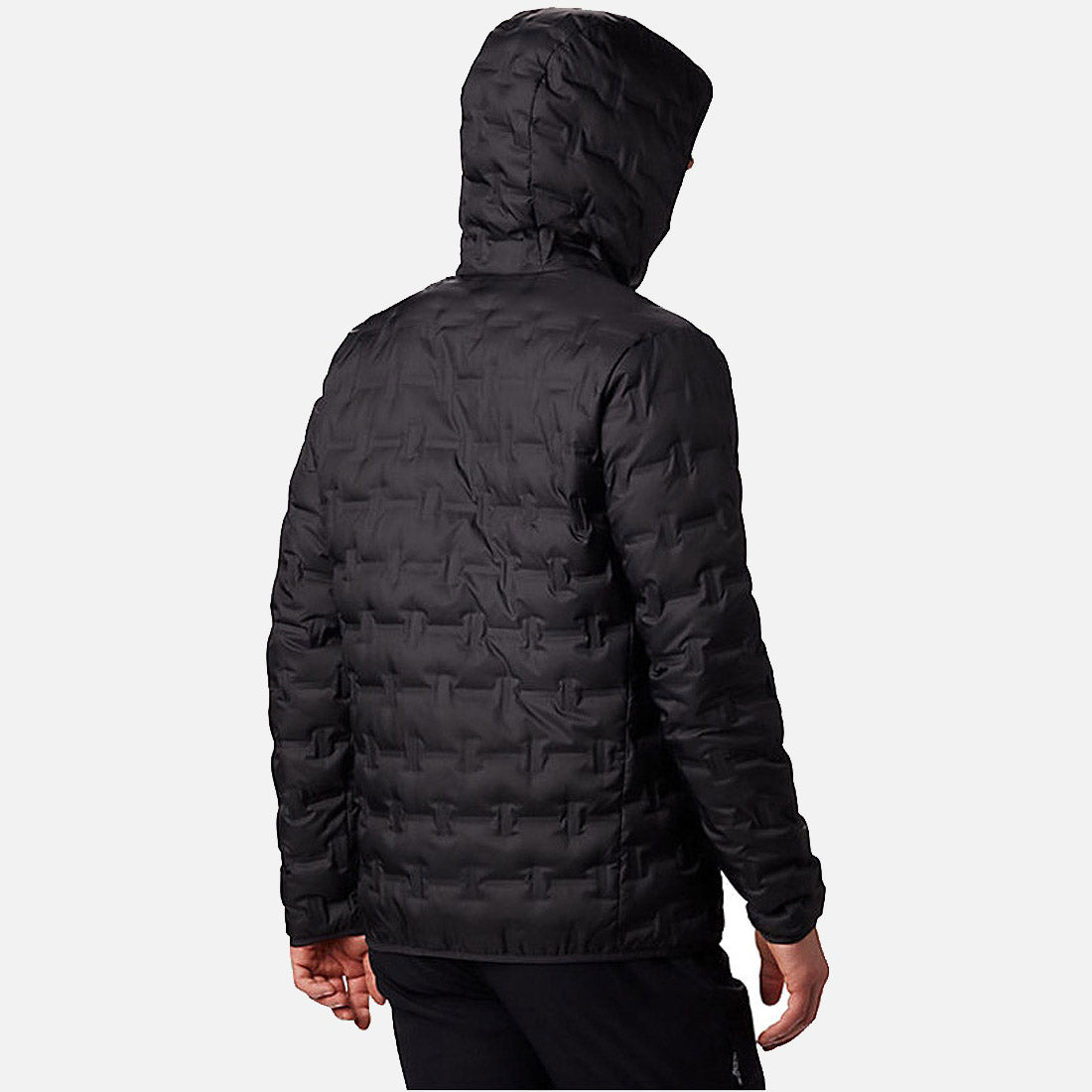 Delta Ridge II Down Hooded