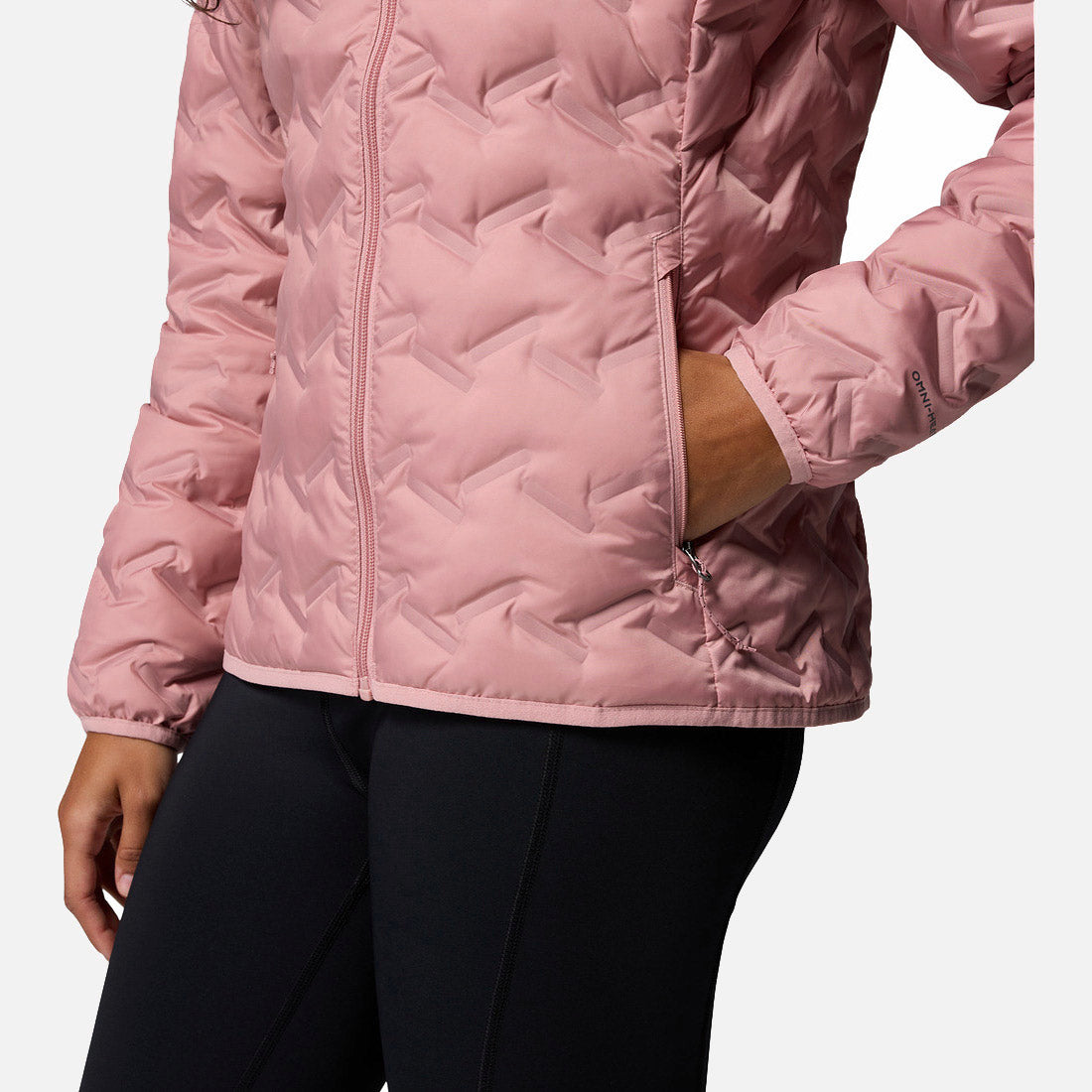 Delta Ridge II Down Hooded