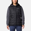 Delta Ridge II Down Hooded Vest
