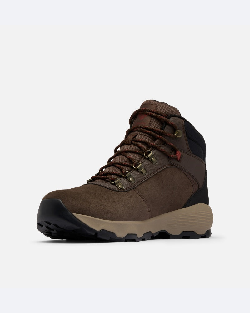 Newton Wander M