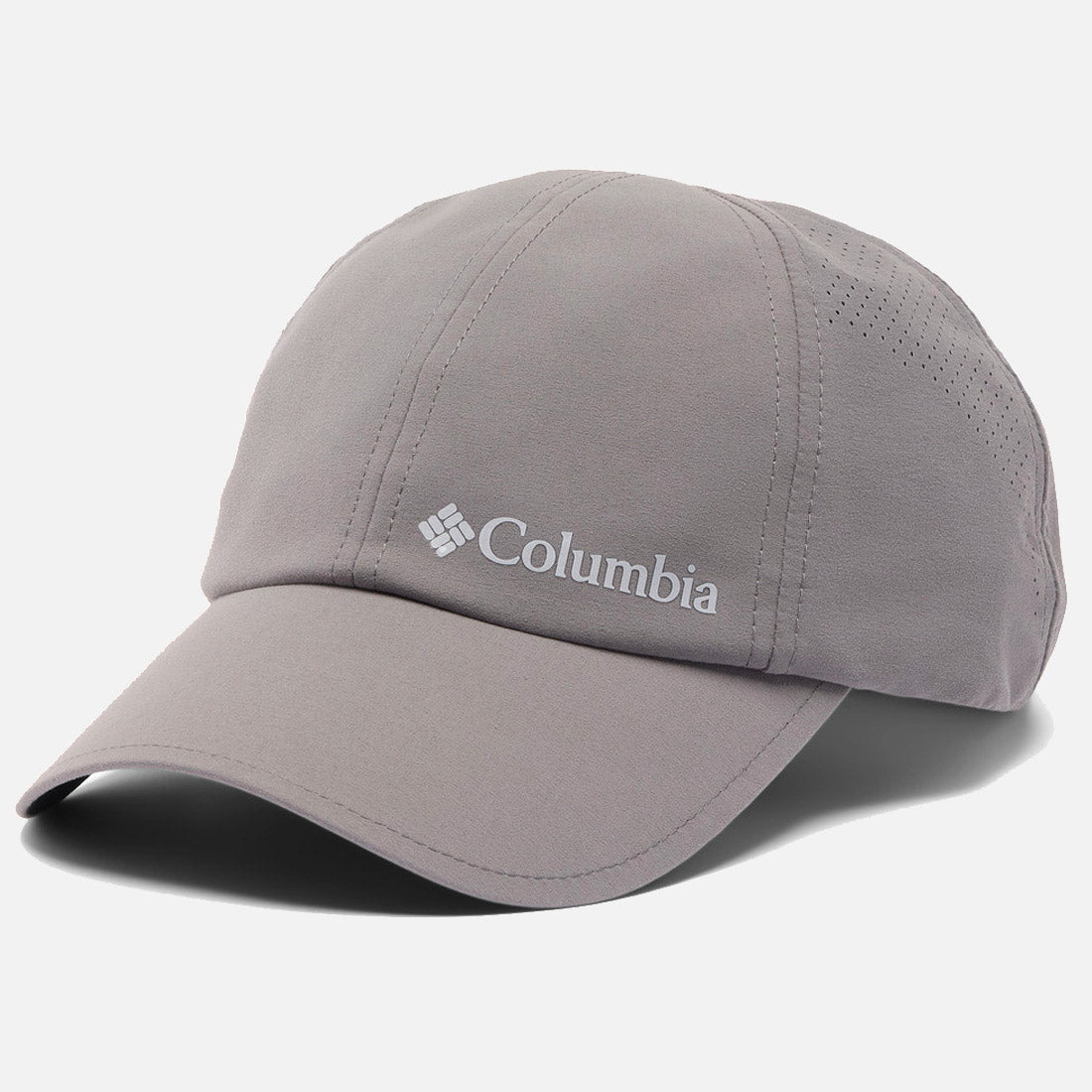 Silver Ridge Iv Ball Cap