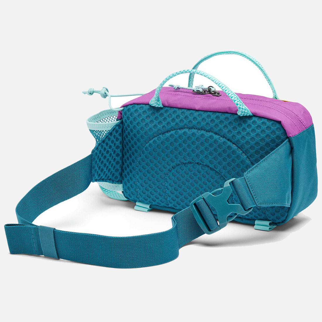 Echo Mountain Hip Pack