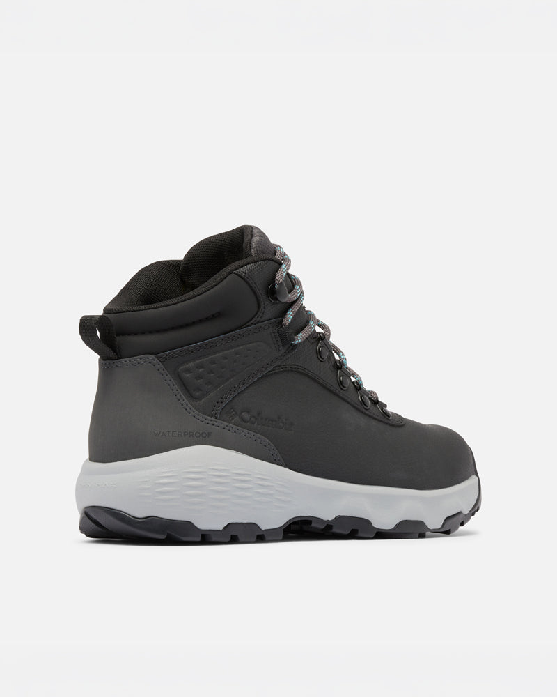 Newton Wander LTR