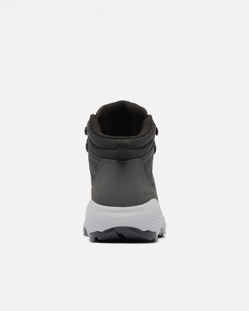 Newton Wander LTR