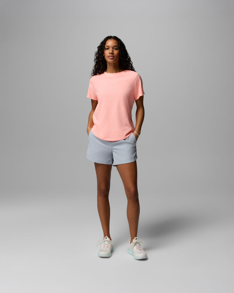 PFG Freezer S/S T