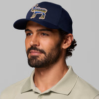 Lost Lager 3D Stretch Snap Back