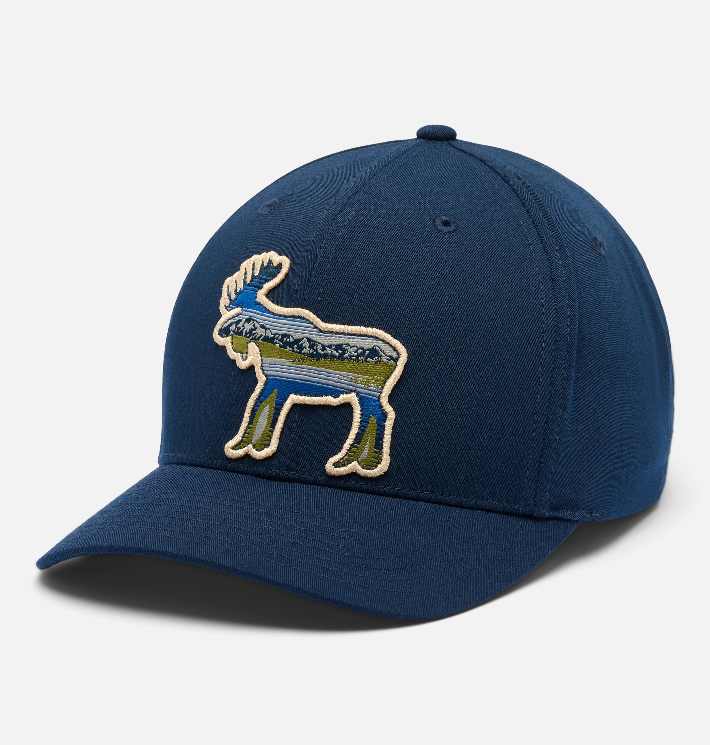 Lost Lager 3D Stretch Snap Back