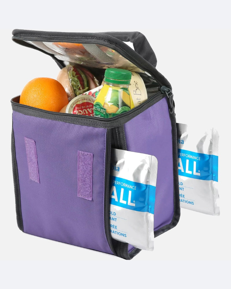 Clear Horizons Fridge Lunch Pack